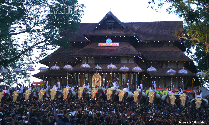 thrissur-pooram-2011- (47)